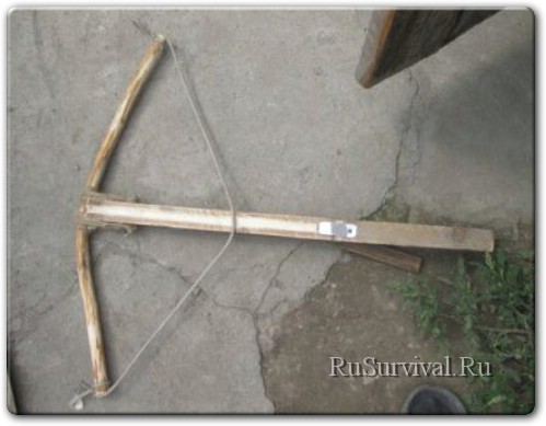 Кюдо — стрельба из традиционного японского лука
